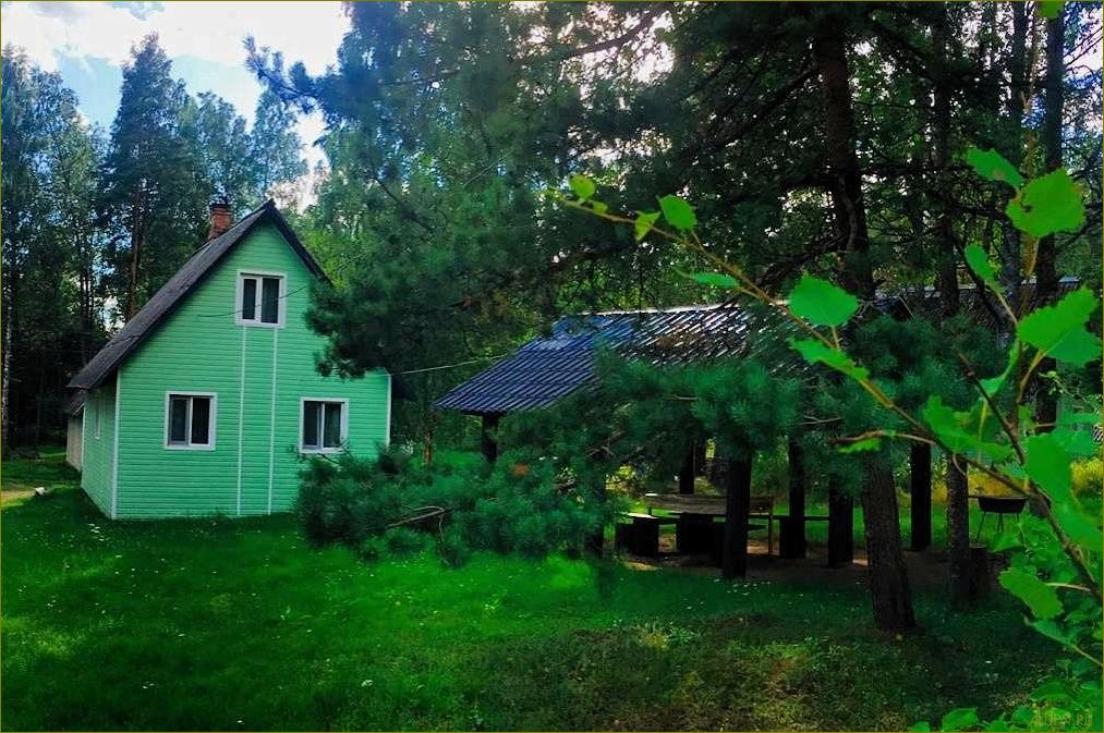 Матроскин база отдыха в Ленинградской области — уникальный курорт, идеальный для семейного отдыха и активного времяпрепровождения