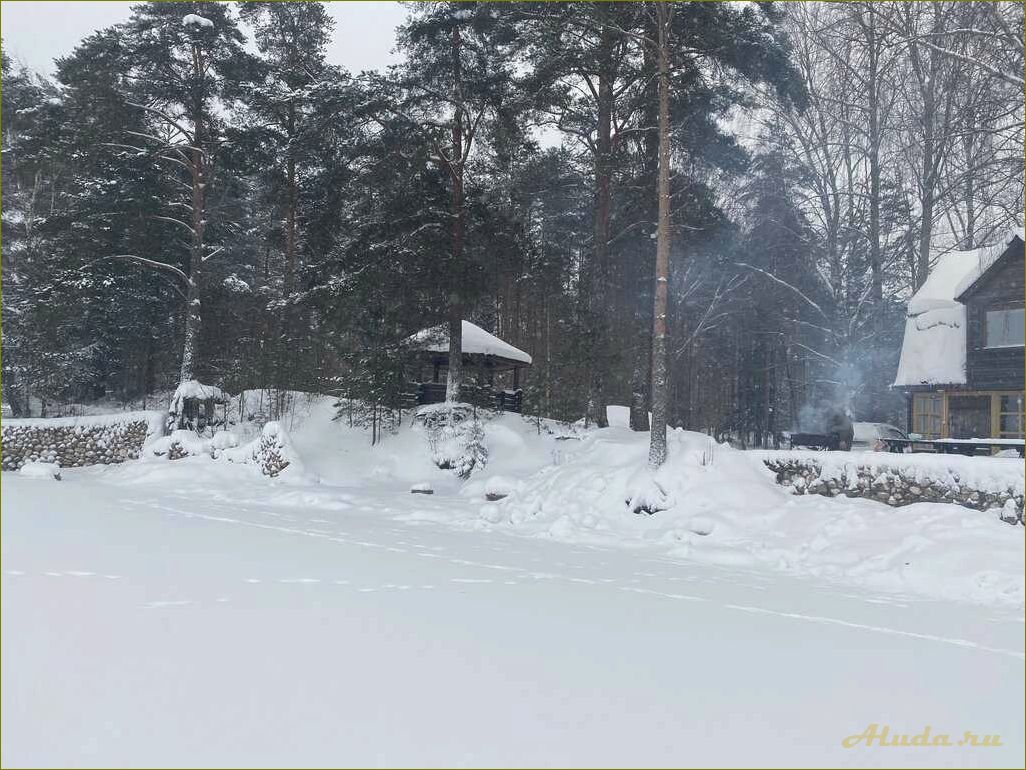 Медовец база отдыха в Новгородской области Мошенского района — идеальное место для отдыха и релаксации