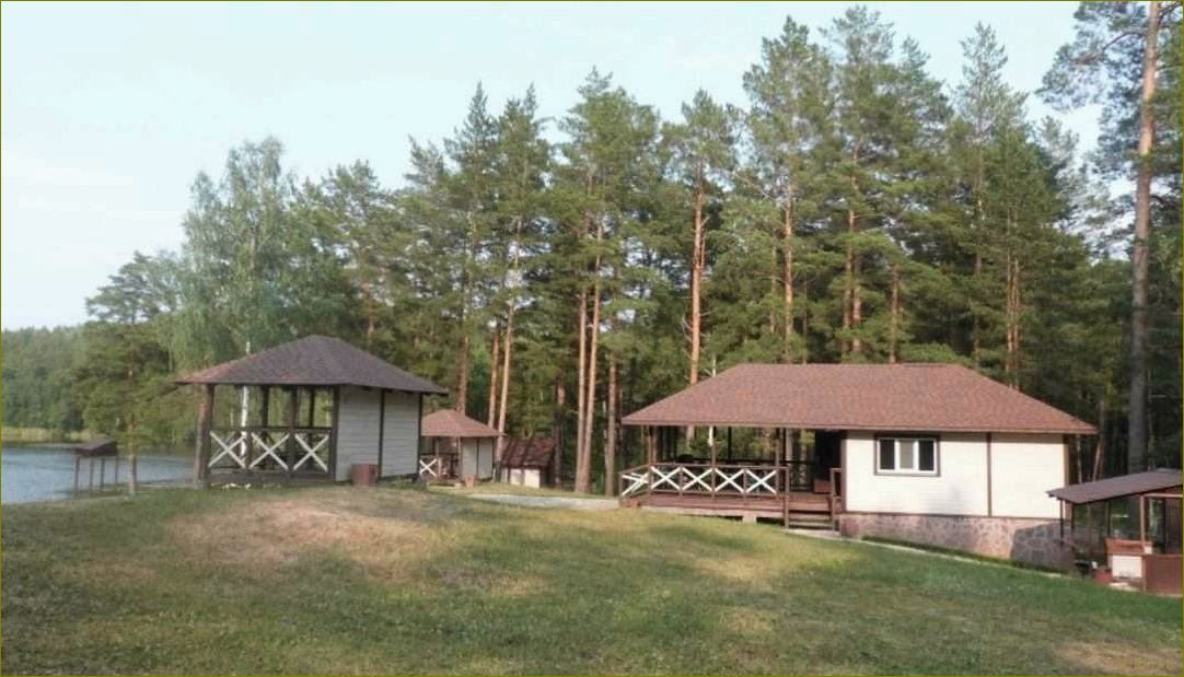 Медвежье база отдыха в Курганской области — идеальное место для уединенного отдыха на природе среди живописных лесов и гор