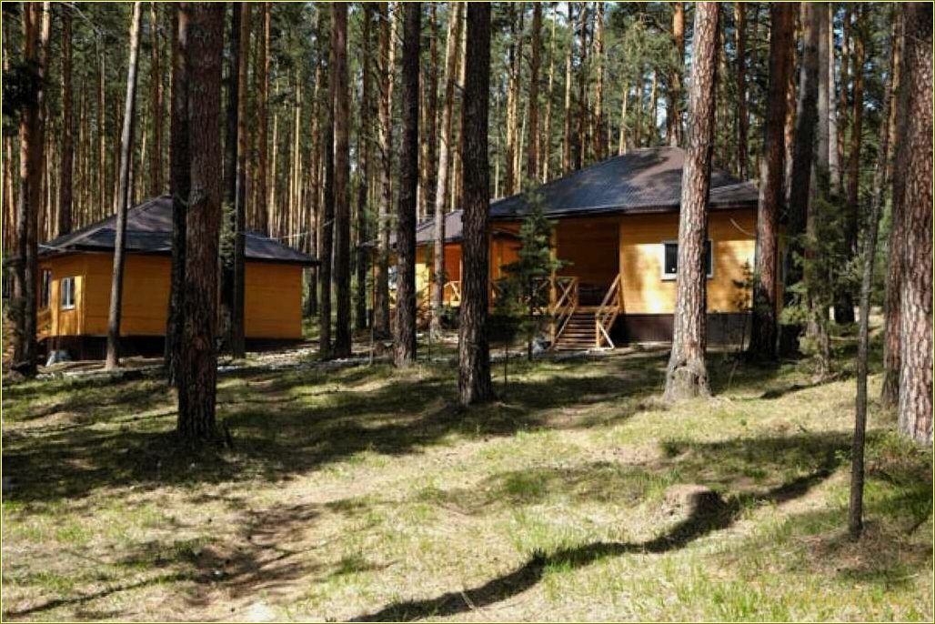 Бюджетные варианты баз отдыха в Свердловской области: где провести отпуск без больших затрат