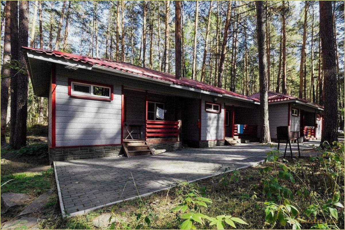 (базы, отдыха, непряхино, челябинская, область) Базы отдыха в Непряхино, Челябинская область: отличный выбор для отдыха на природе