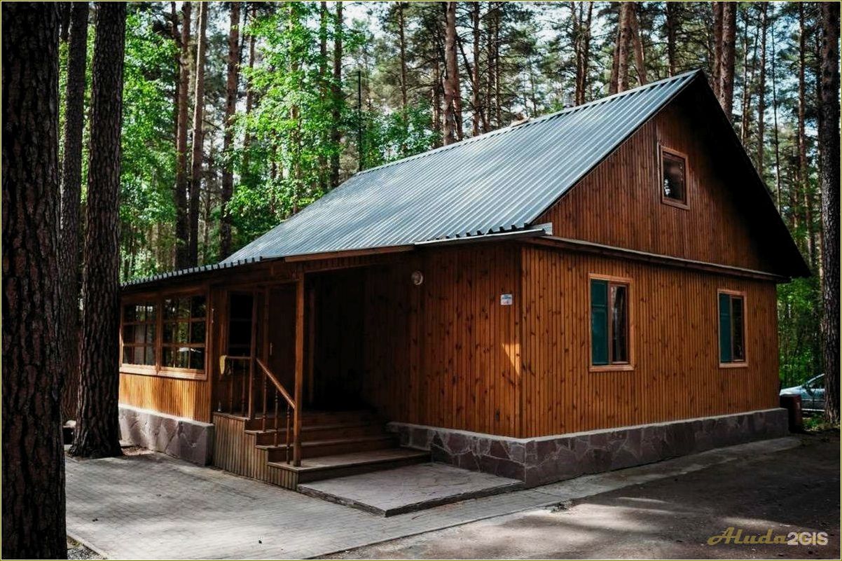 (базы, отдыха, непряхино, челябинская, область) Базы отдыха в Непряхино, Челябинская область: отличный выбор для отдыха на природе