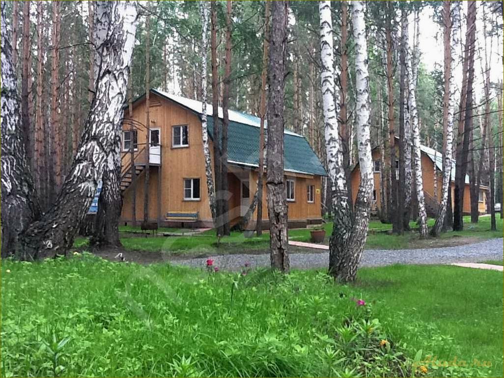 Новые базы отдыха в Новосибирской области — идеальные места для отдыха на природе и активного времяпрепровождения