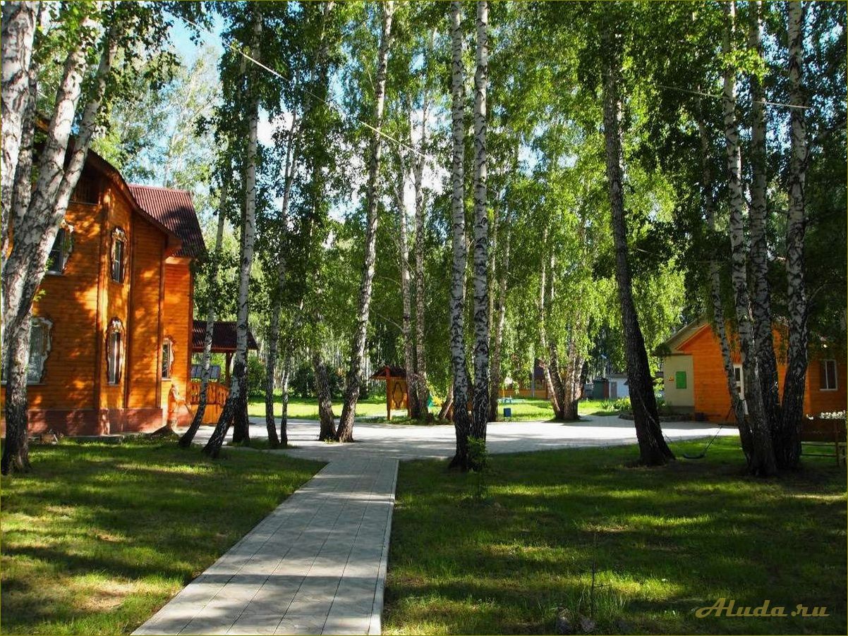 Новые базы отдыха в Новосибирской области — идеальные места для отдыха на природе и активного времяпрепровождения