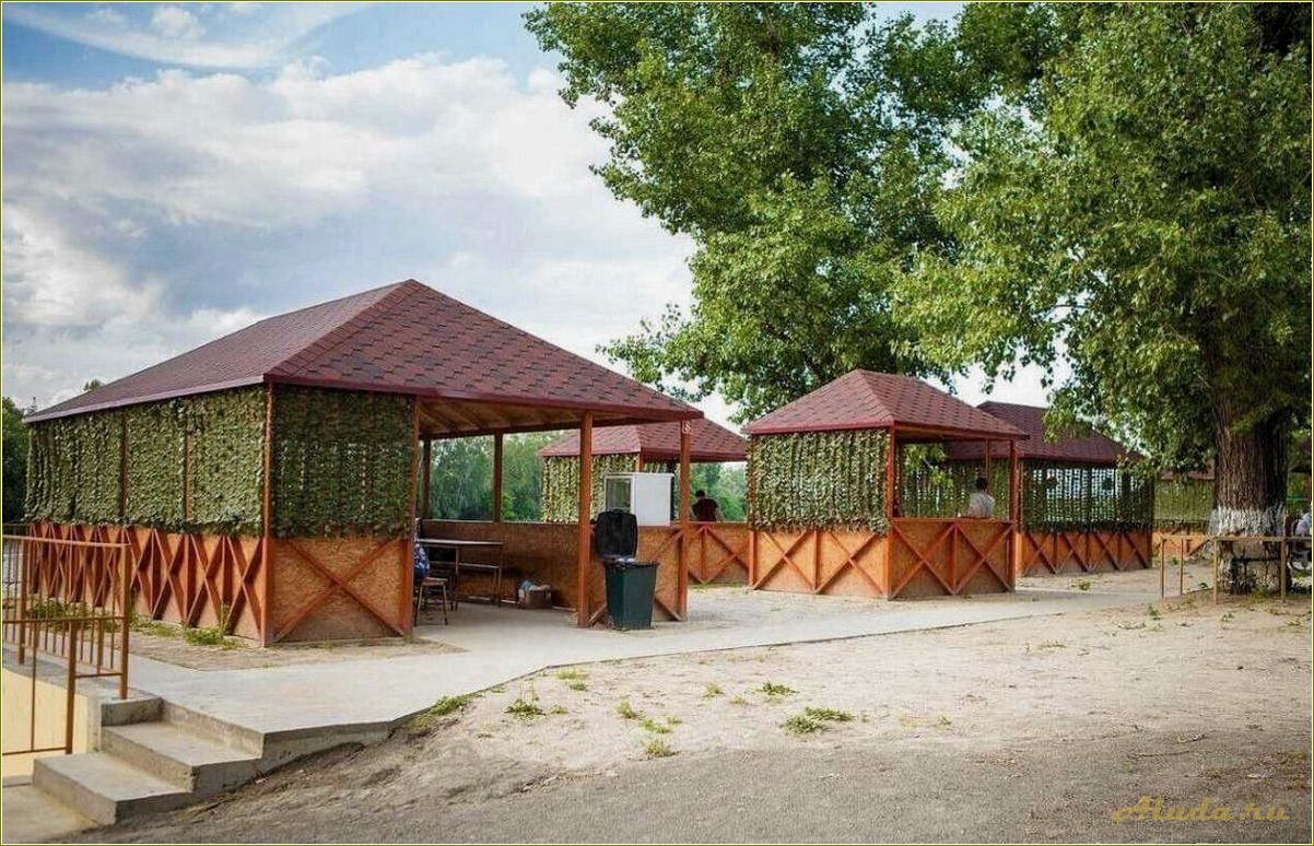 (ростовской, области, открываются, новые, базы) В Ростовской области открываются новые базы отдыха для комфортного отдыха и активного времяпровождения