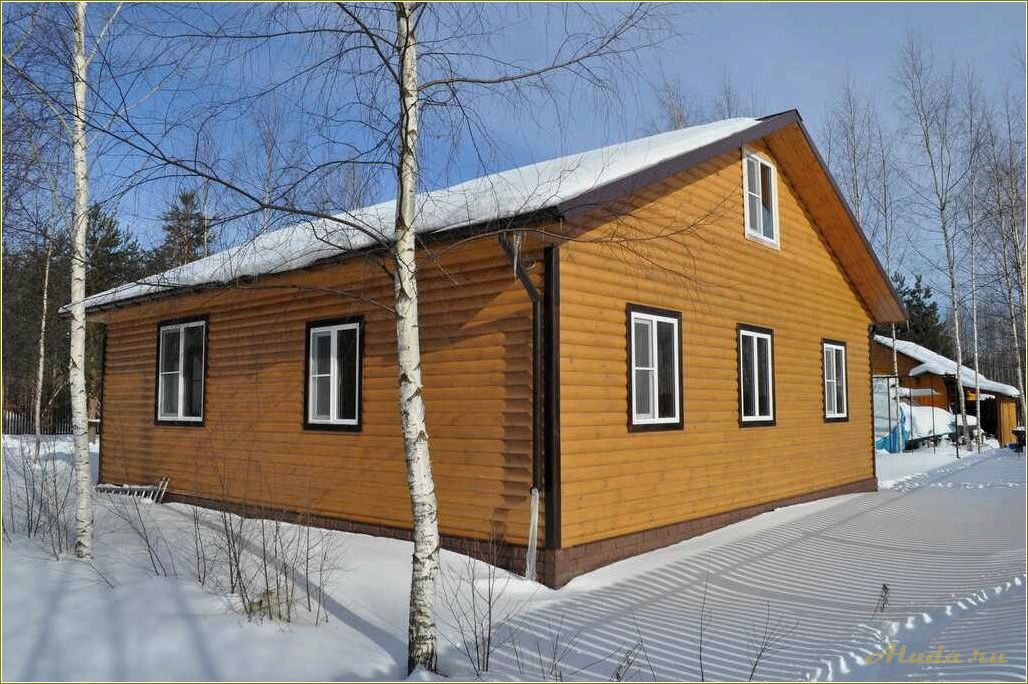 Новогодние предложения 2024 базы отдыха Ярославской области