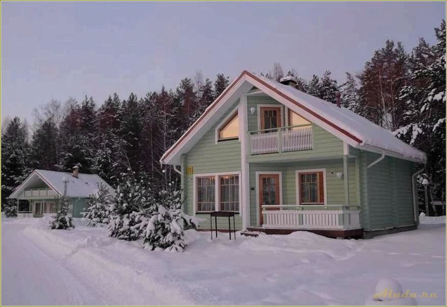 Новогодние предложения 2024 базы отдыха Ярославской области