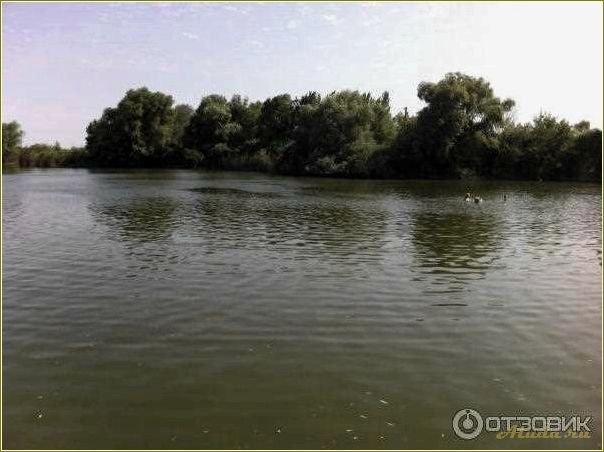 (ольгинская, ростовская, область, базы, отдыха) Ольгинская ростовская область — базы отдыха, цены и преимущества для отдыхающих