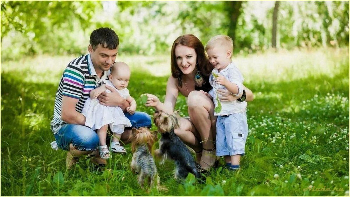 Отдых для всей семьи в Рязанской области — лучшие варианты развлечений и отелей