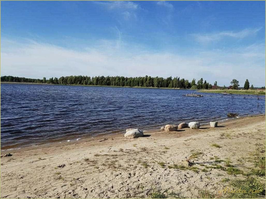 (отдых, озере, тверская, область) Отдых на озере Сиг Тверская область