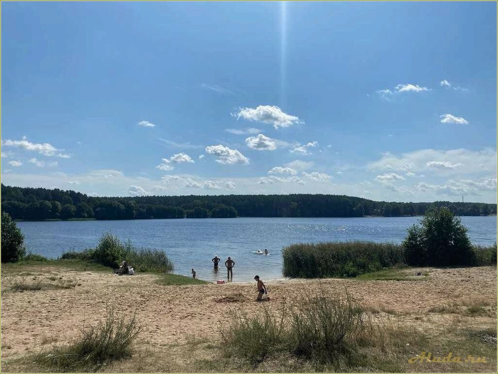 Отдых на озере Сынтул в Рязанской области — идеальное место для релакса и активного времяпрепровождения