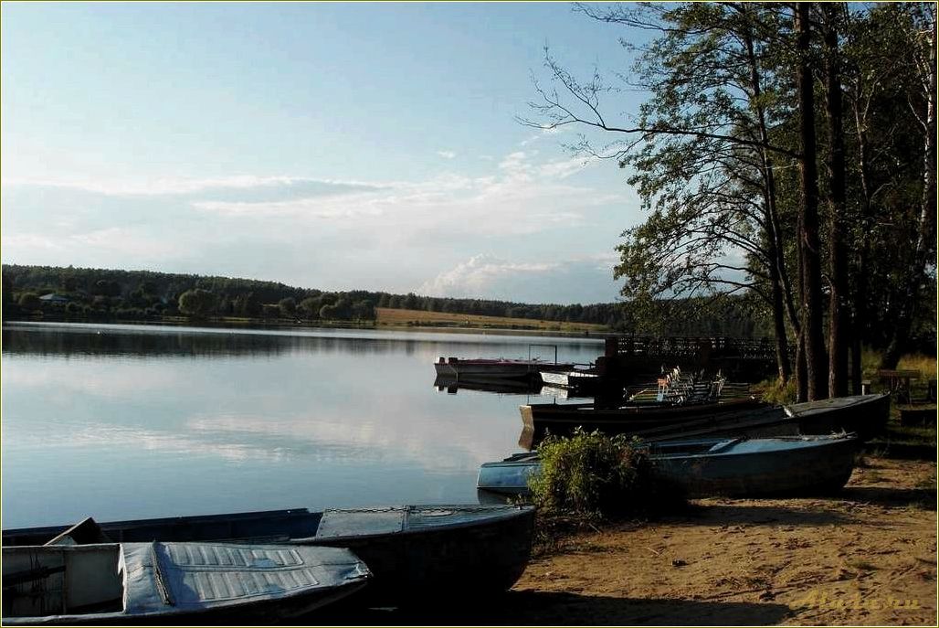 Отдых на озере Сынтул в Рязанской области — идеальное место для релакса и активного времяпрепровождения