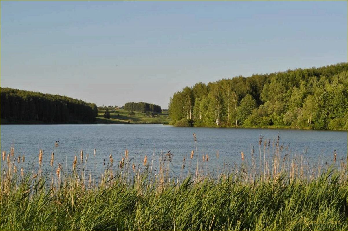 (отдых, природе, нижегородской, области, лучшие) Отдых на природе в Нижегородской области — лучшие места для активного отдыха и релаксации