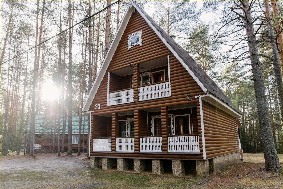 (отдых, природе, нижегородской, области, лучшие) Отдых на природе в Нижегородской области — лучшие места для активного отдыха и релаксации