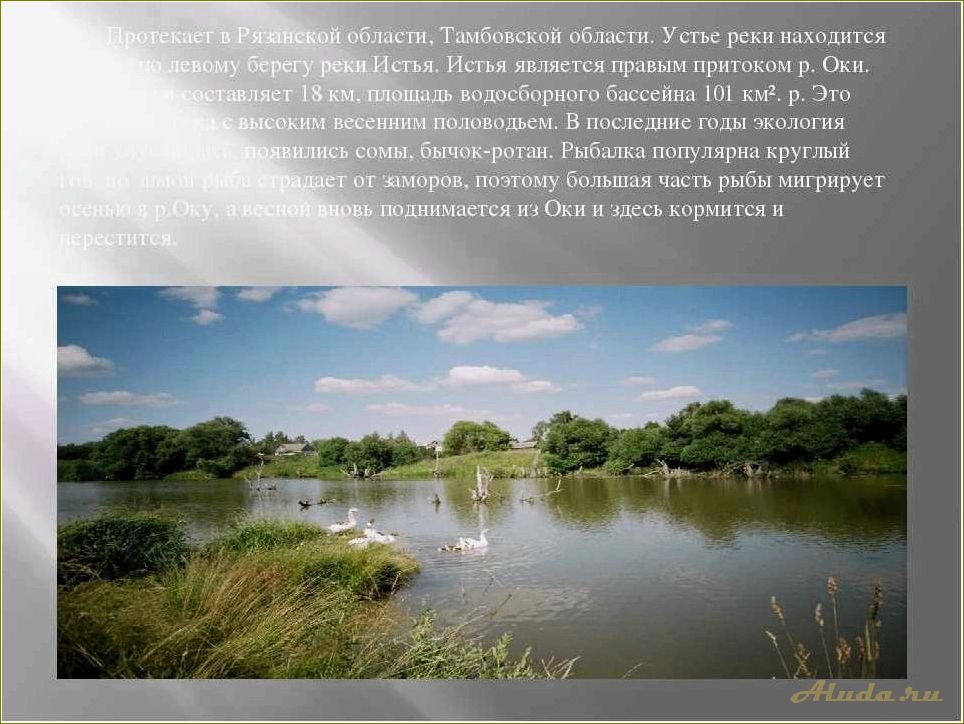 (отдых, реках, тамбовской, области, лучшие) Отдых на реках Тамбовской области: лучшие места и развлечения