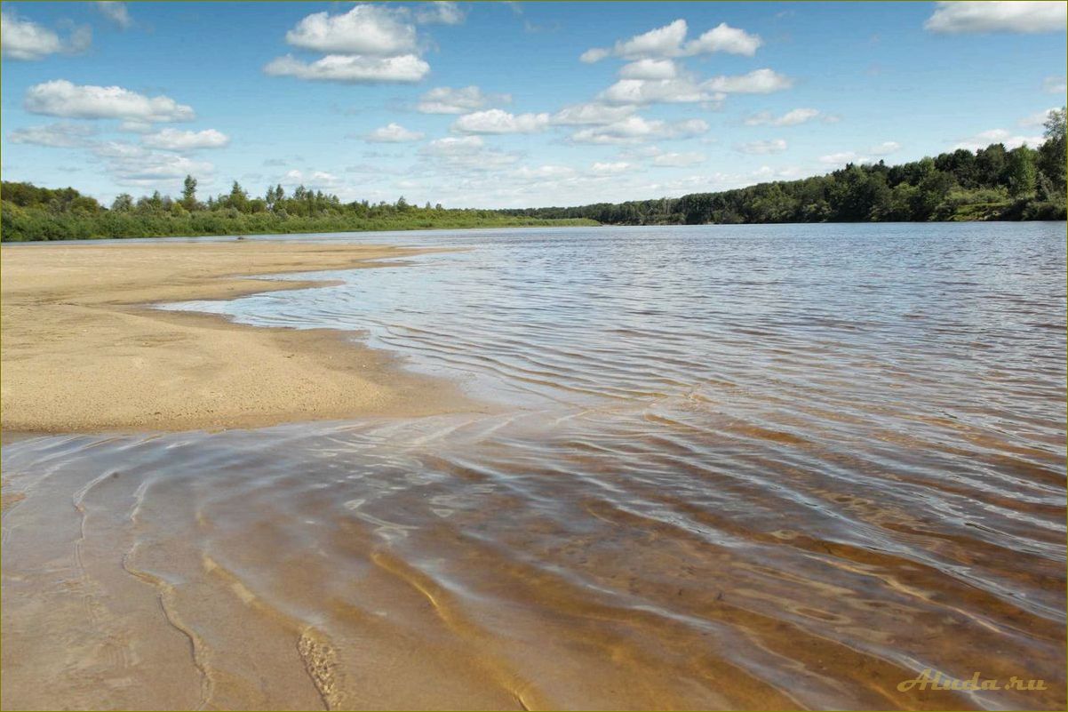 Отдых на реке в Нижегородской области — лучшие места для активного отдыха и релаксации