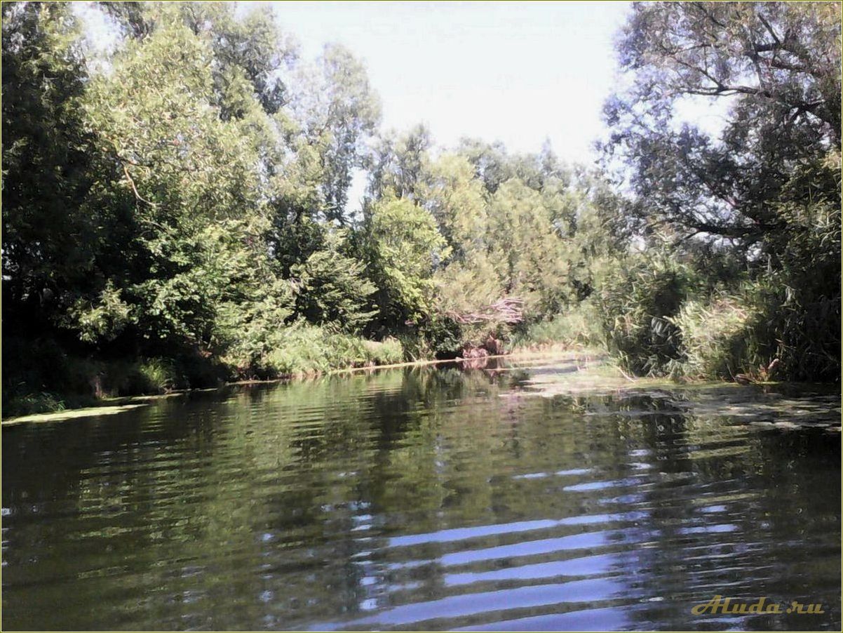 (отдых, вороне, тамбовская, область) Отдых на Вороне Тамбовская область