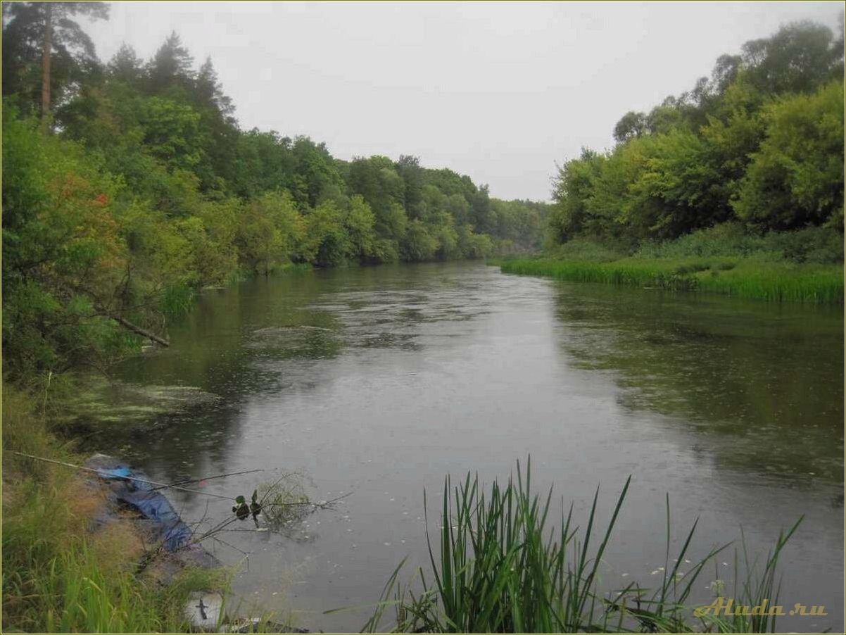 (отдых, вороне, тамбовская, область) Отдых на Вороне Тамбовская область