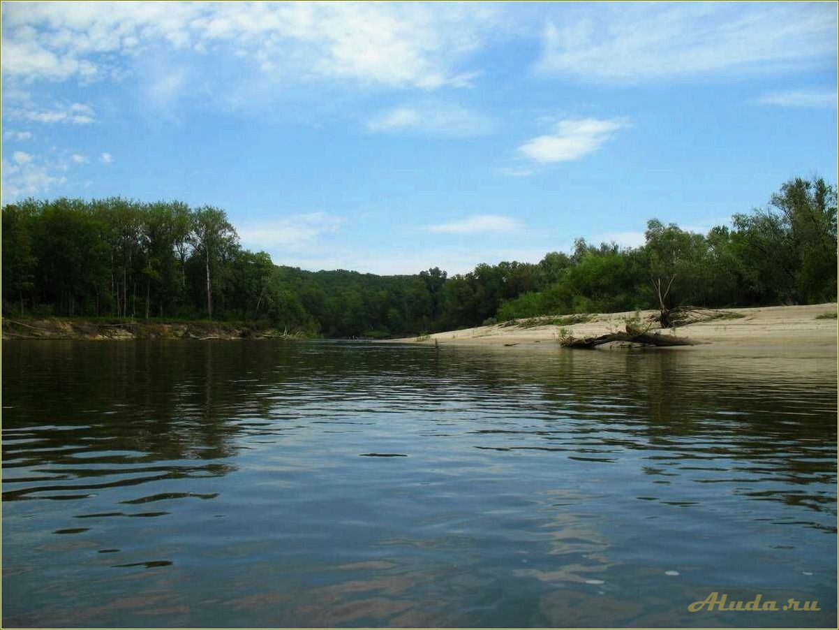 (отдых, вороне, тамбовская, область) Отдых на Вороне Тамбовская область