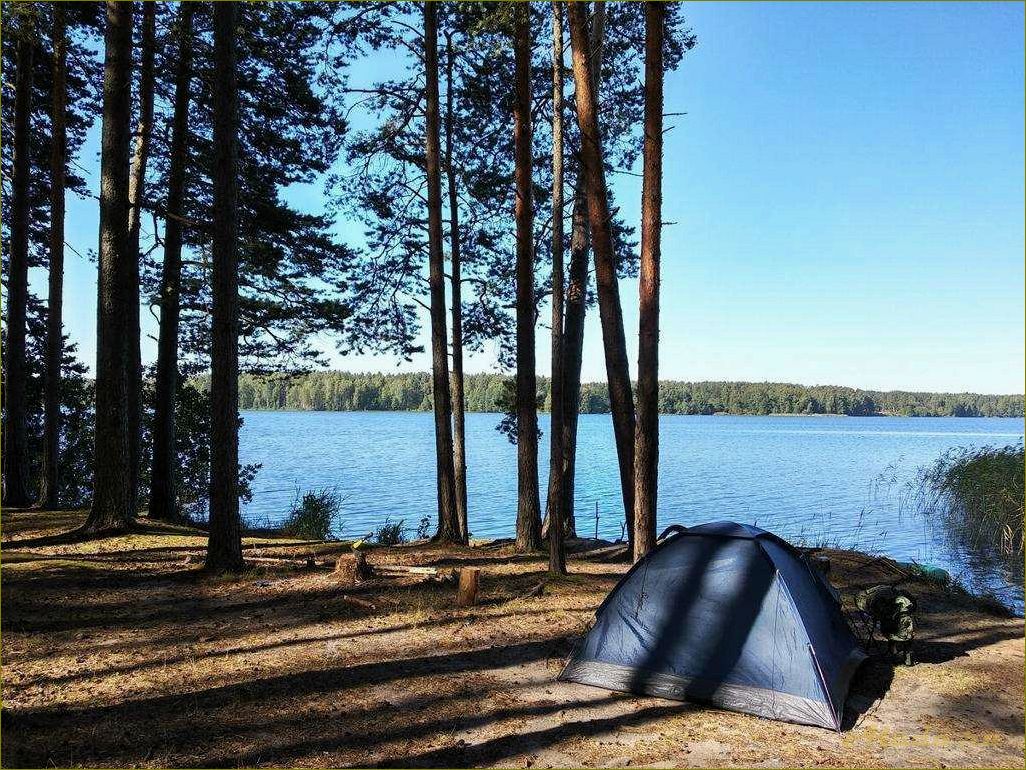 Отдых в палатке в живописной Нижегородской области — лучшие места и советы для путешественников