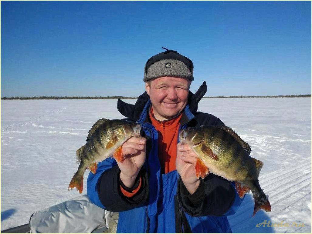 (отдых, рыбалке, томской, области) Отдых на рыбалке в Томской области