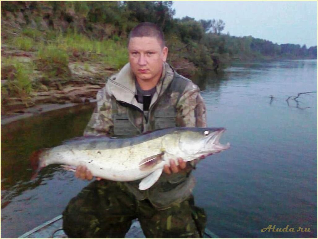 (отдых, рыбалке, томской, области) Отдых на рыбалке в Томской области