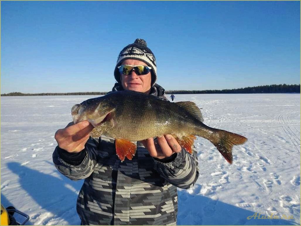 (отдых, рыбалке, томской, области) Отдых на рыбалке в Томской области