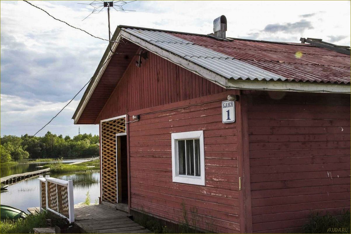 (отдых, живописной, архангельской, области, база) Отдых в живописной Архангельской области — база отдыха