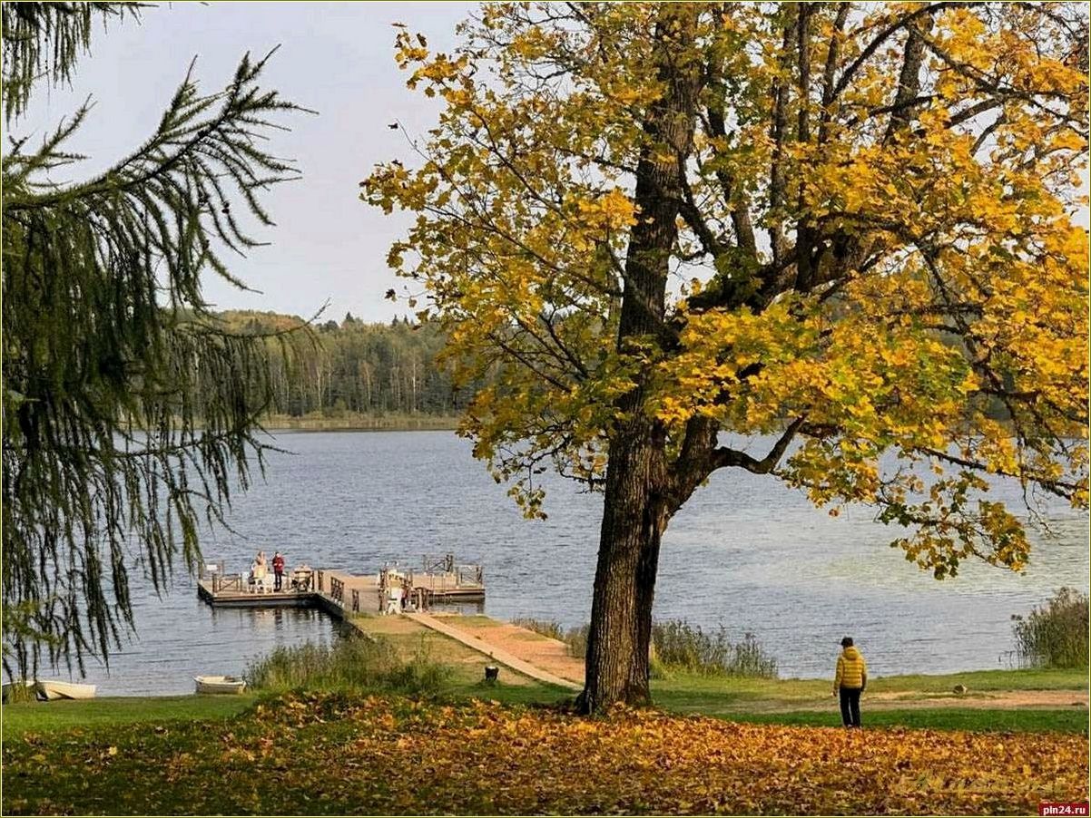 Отдых в августе в Псковской области — лучшие места для отпуска и активного времяпрепровождения