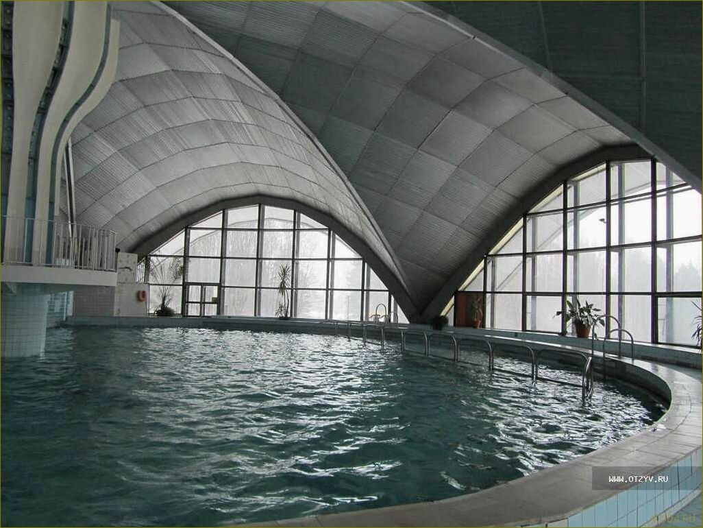 Отдых в березке Московская область — идеальное место для семейного отдыха на природе