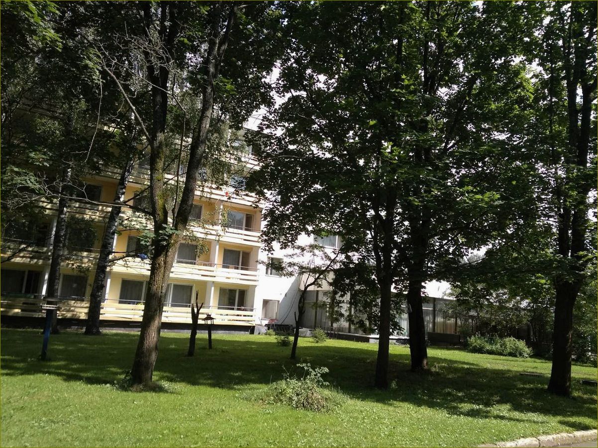 Отдых в березке Московская область — идеальное место для семейного отдыха на природе