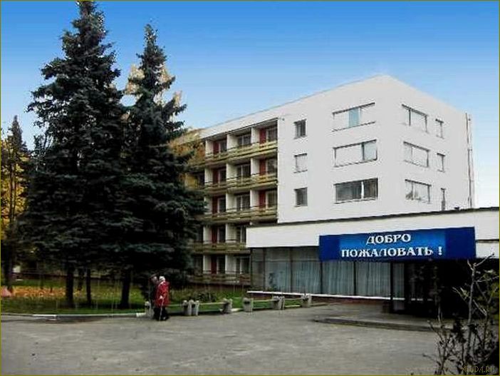 Отдых в березке Московская область — идеальное место для семейного отдыха на природе