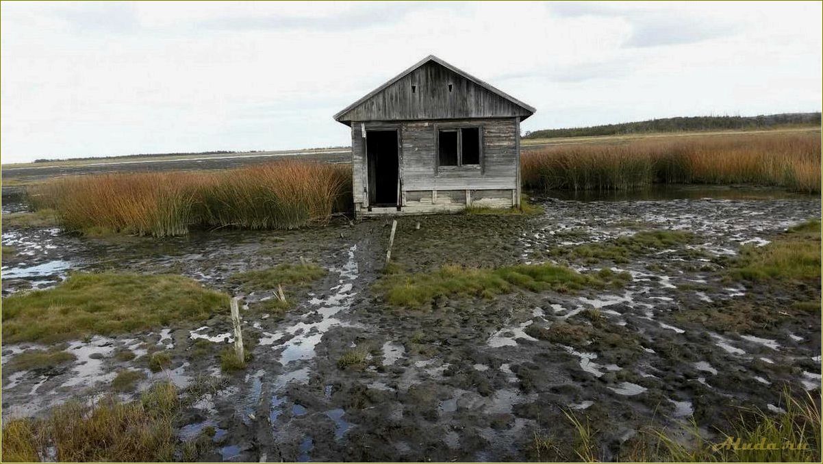 (отдых, даги, сахалинская, область) Отдых в Даги Сахалинская область