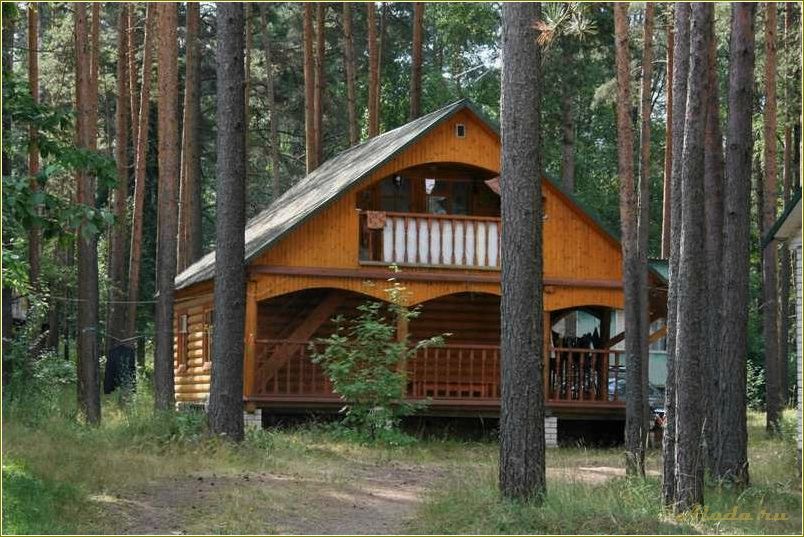 Отдых в лесу Псковской области — лучшие места и активности для всей семьи