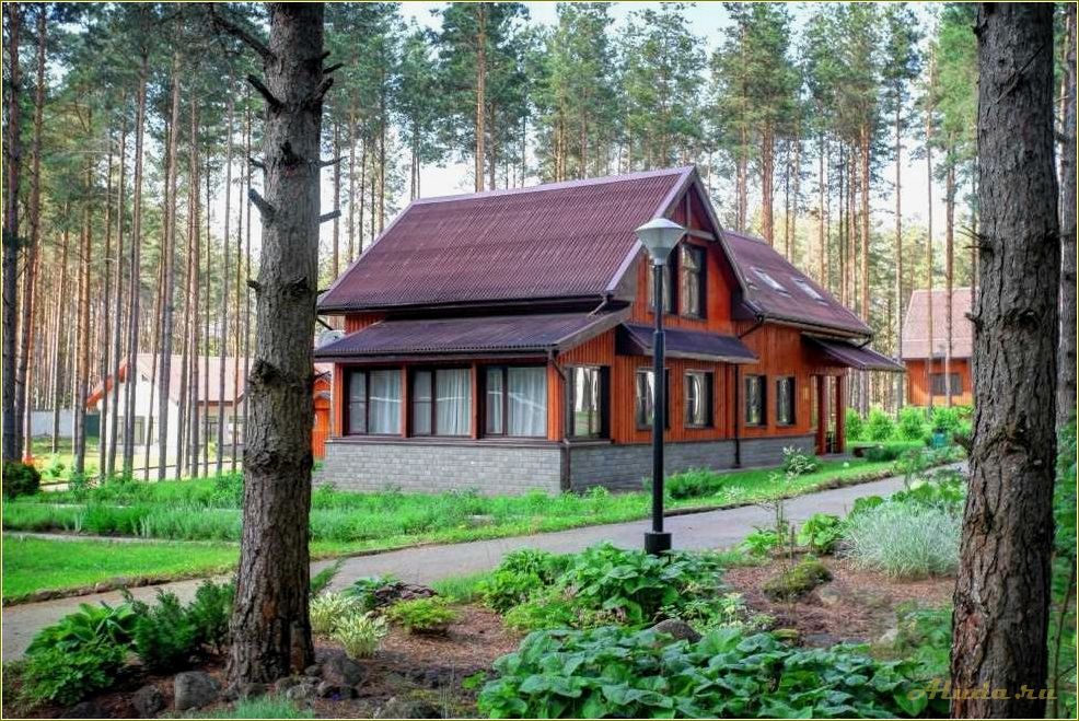 Отдых в лесу Псковской области — лучшие места и активности для всей семьи
