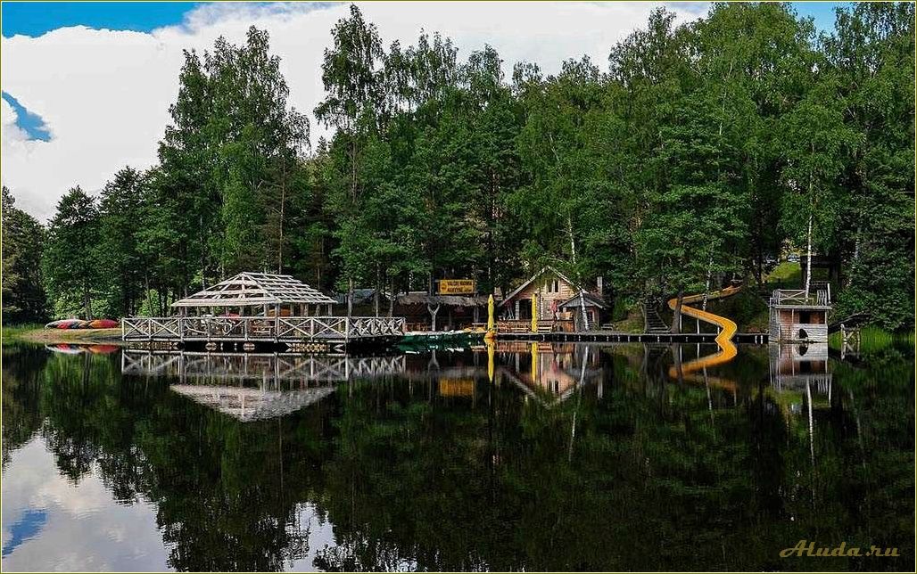 Отдых в лесу Смоленской области