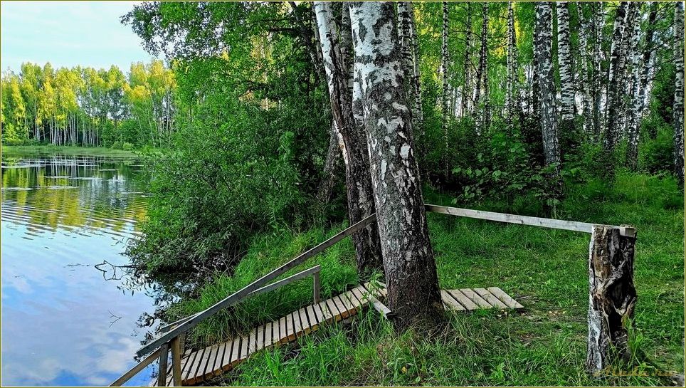 Отдых в лесу Смоленской области