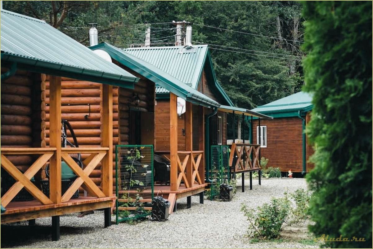 Отдых в лесу Смоленской области