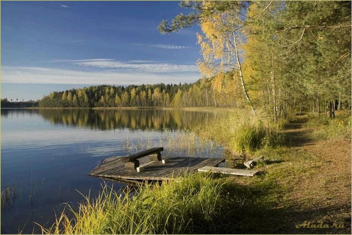 Отдых в лесу Смоленской области