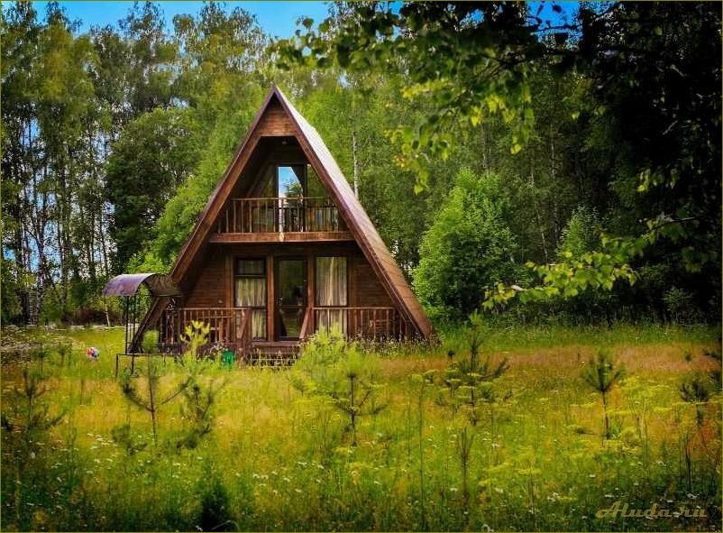 (отдых, лесу, домиках, омской, области) Отдых в лесу в домиках Омской области — наслаждайтесь природой и комфортом