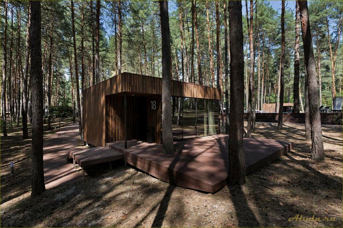 (отдых, лесу, домиках, омской, области) Отдых в лесу в домиках Омской области — наслаждайтесь природой и комфортом