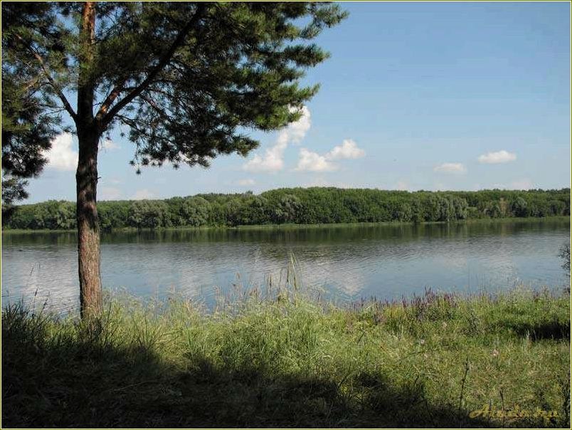 Отдых в майне Ульяновской области