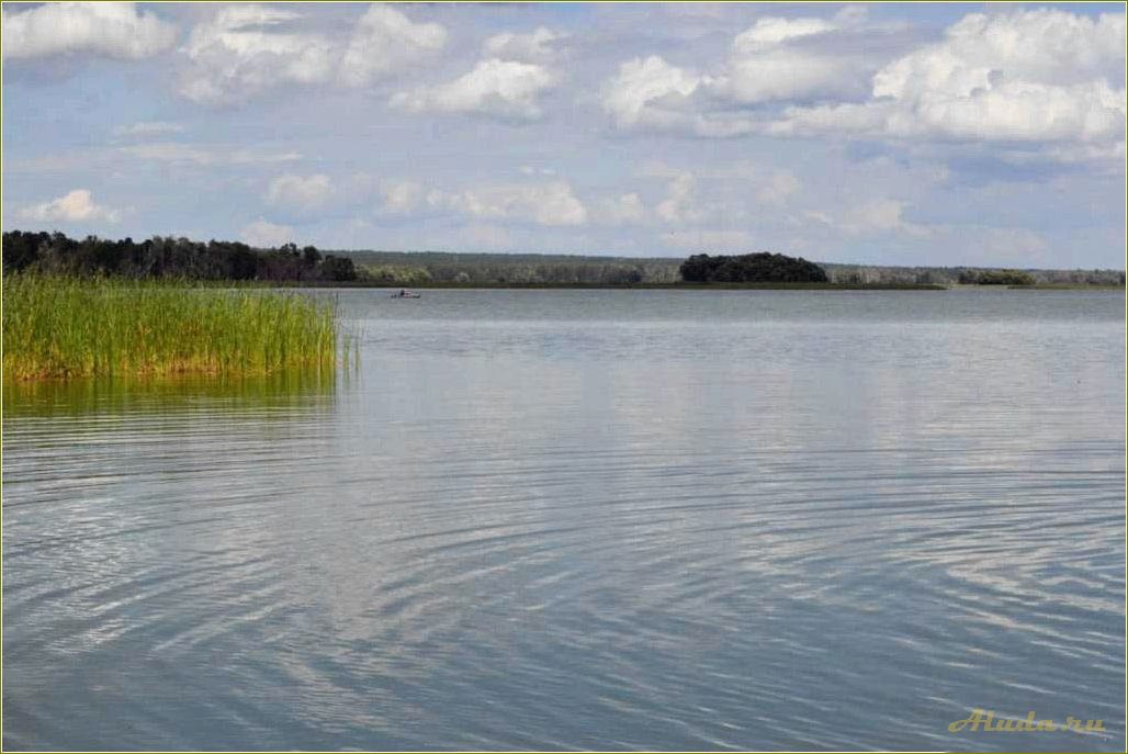 Отдых в майне Ульяновской области