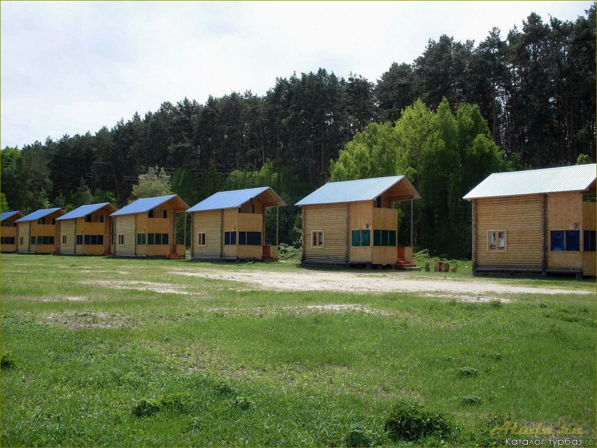 Отдых в Муромцевском районе Омской области летом — лучшие места для отдыха, развлечения и активного времяпровождения