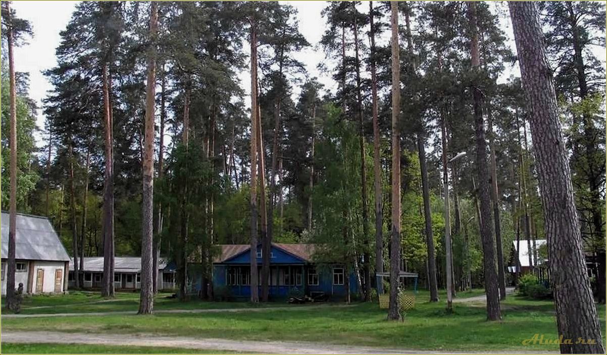 Отдых в Николаевском районе Ульяновской области