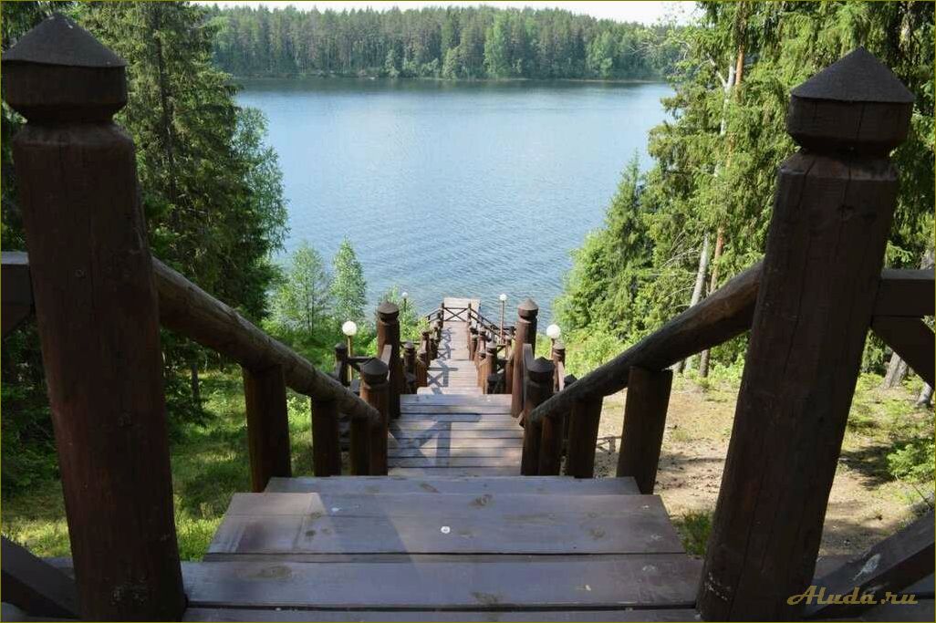 (отдых, живописной, новгородской, области, наслаждайтесь) Отдых в живописной новгородской области — наслаждайтесь комфортом и природой в уютном пансионате