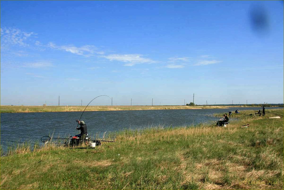 (отдых, новоивановке, омской, области, наслаждайтесь) Отдых в Новоивановке Омской области — наслаждайтесь красотами природы и активными развлечениями