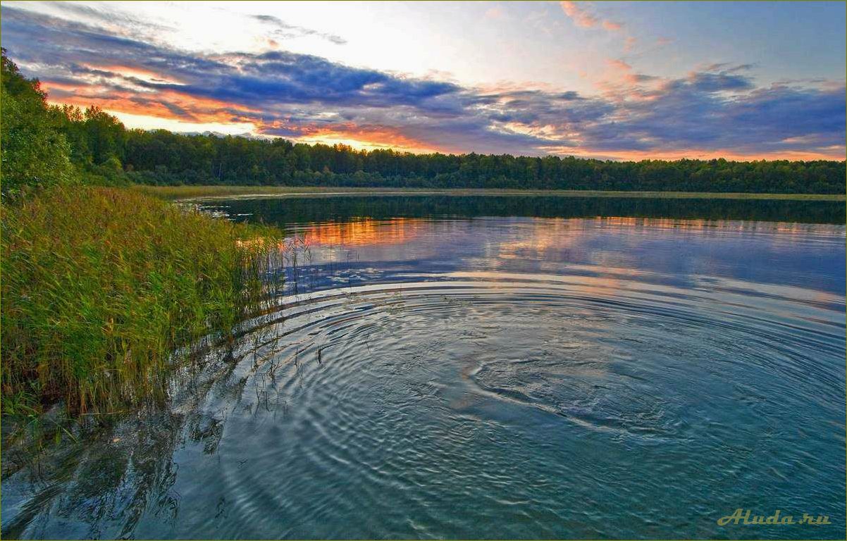 (отдых, новоивановке, омской, области, наслаждайтесь) Отдых в Новоивановке Омской области — наслаждайтесь красотами природы и активными развлечениями