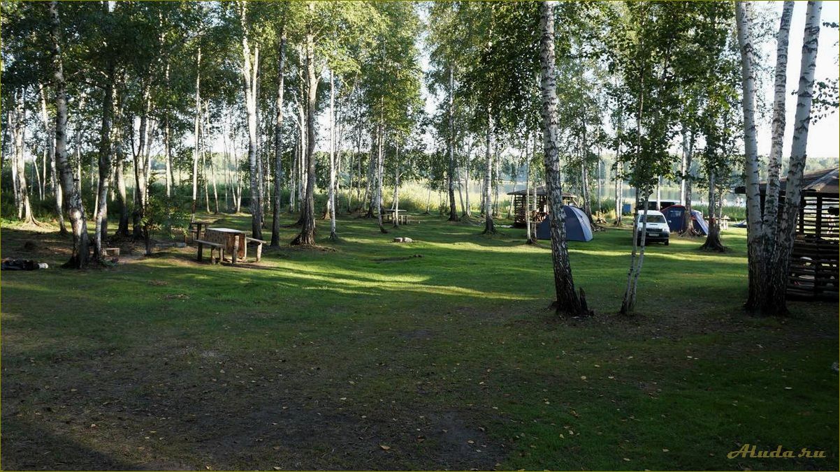 Отдых в удивительных природных краях Омской и Новосибирской областей — откройте для себя прекрасные ландшафты и уникальные природные достопримечательности