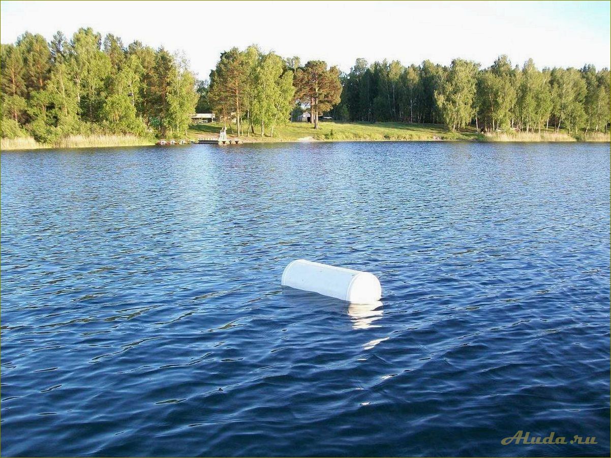 Отдых в удивительных природных краях Омской и Новосибирской областей — откройте для себя прекрасные ландшафты и уникальные природные достопримечательности